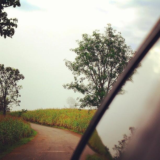 Road Trips in Chiang Mai