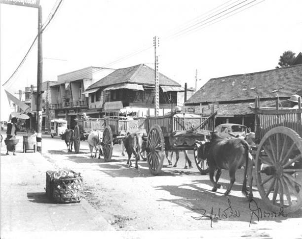 Last ox carts in Chiang Mai